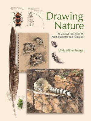 Drawing Nature - ebook